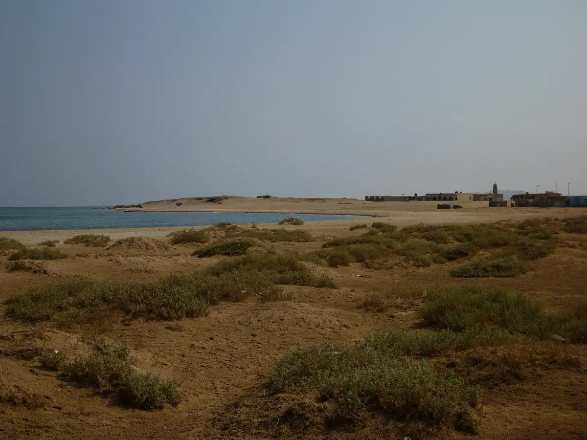 Coastal desert with low scrub and the sea beyond