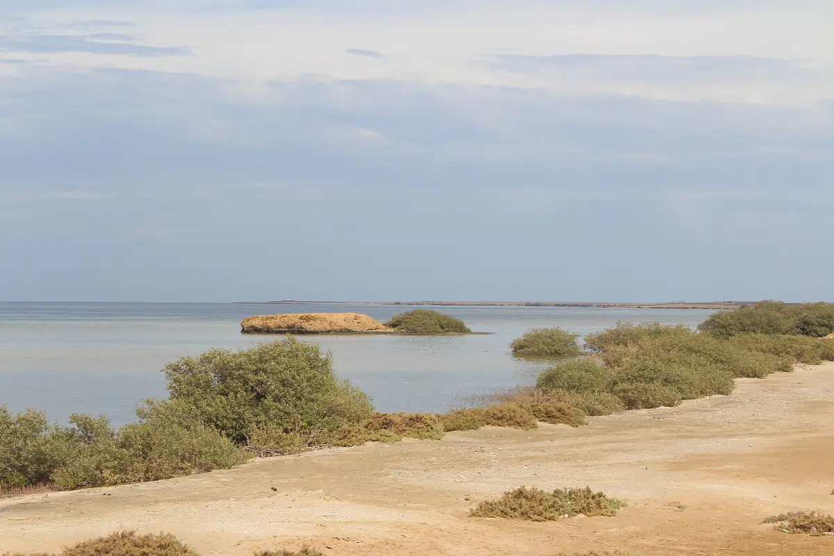 Mangroves and a small rocky islet in a calm lagoon