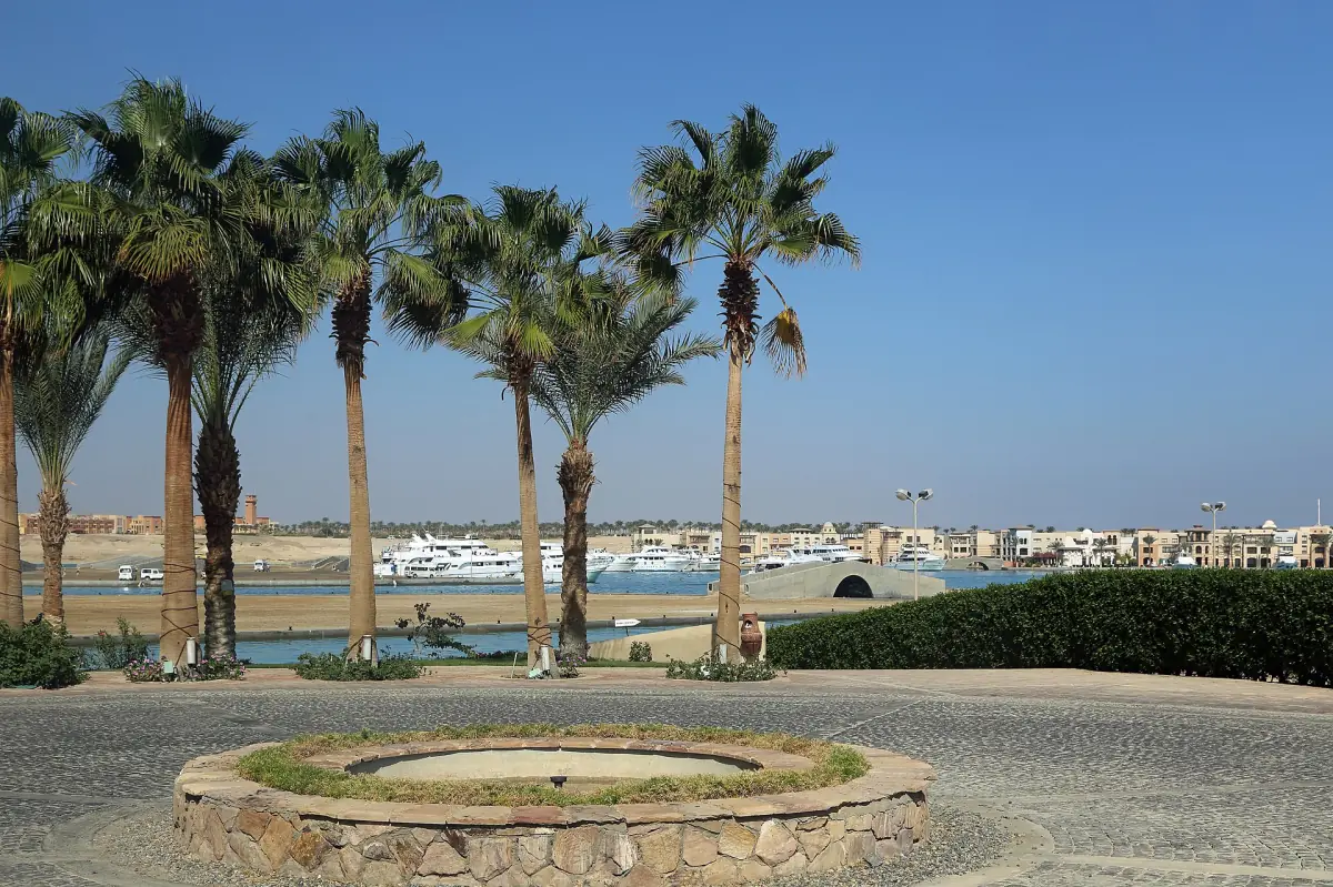 Palm trees in front of a marina with boats under a blue sky