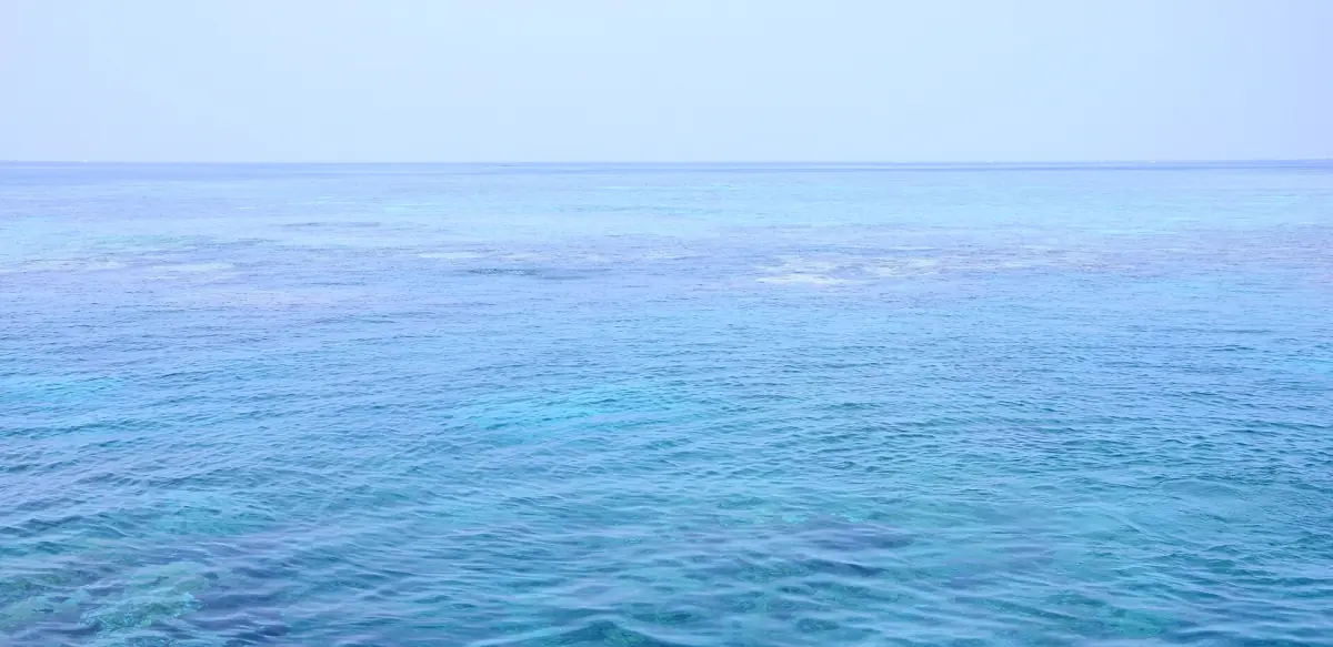 Open blue water over a coral reef in the Red Sea