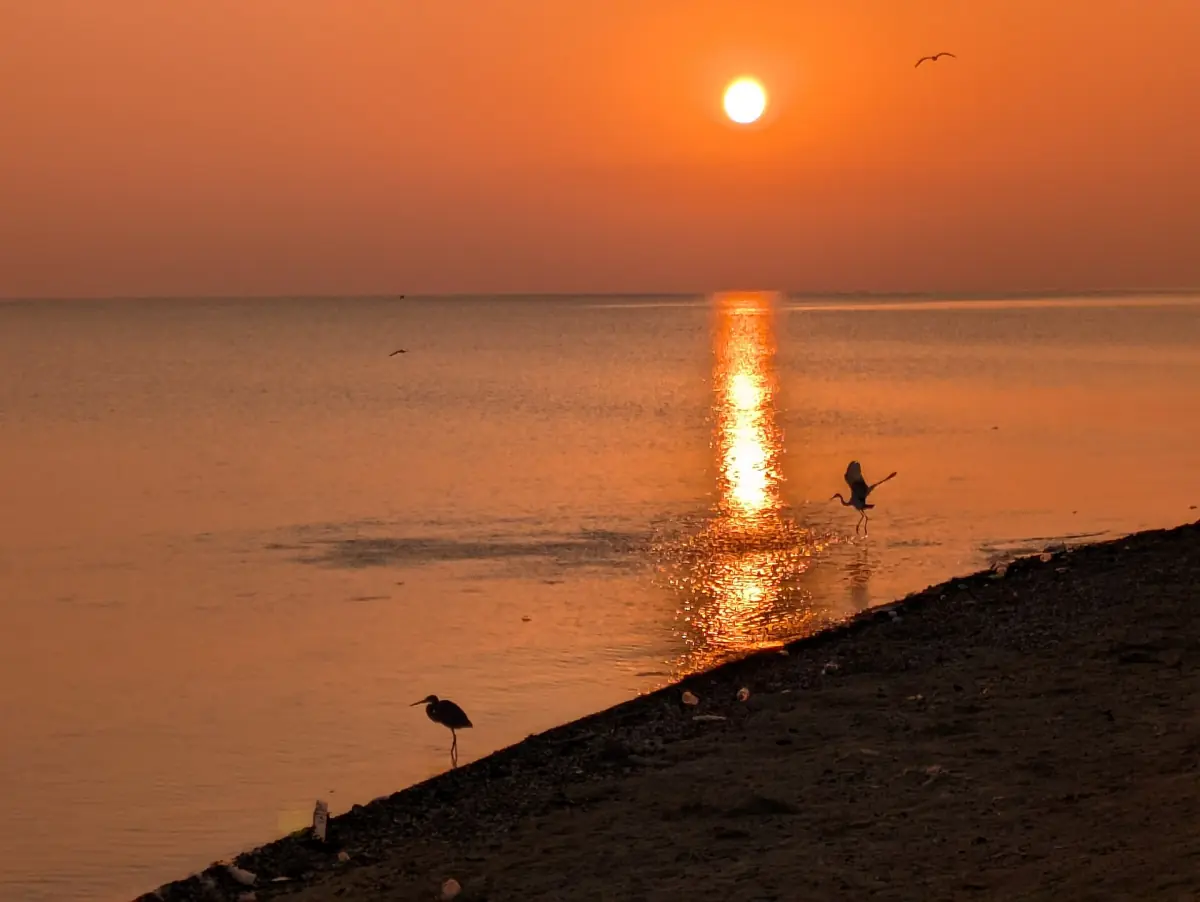 Orange sunset reflected on calm Red Sea water