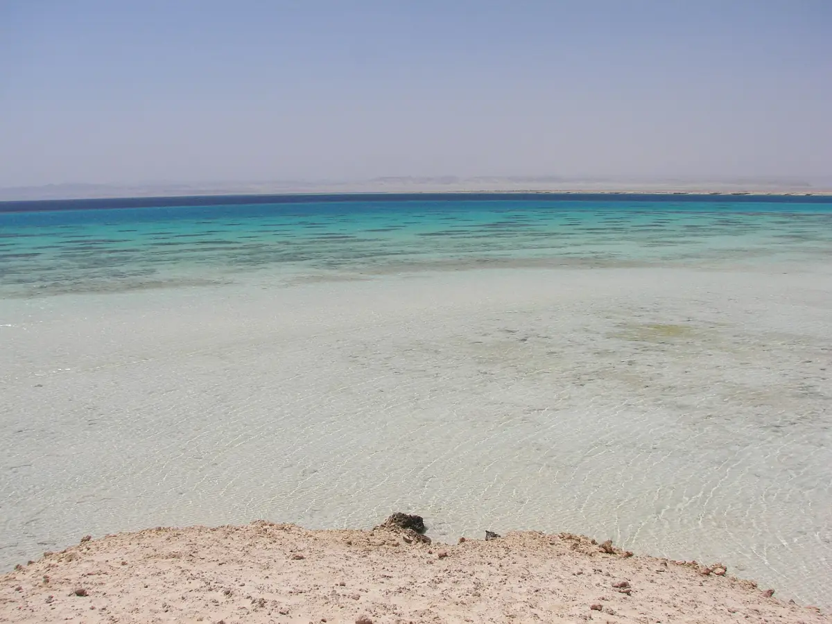 Turquoise lagoon over pale sand under a clear sky on the Red Sea coast